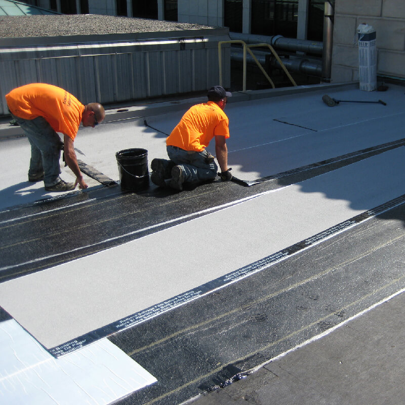 Waterproofing Solutions By Dr. Fixit